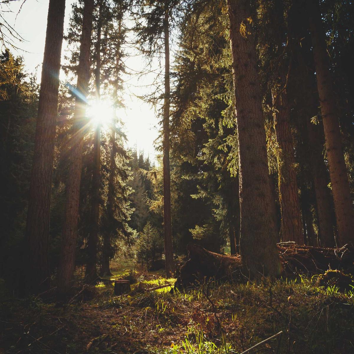 Sage Green Solid Industrial Table Runner - Acrylic - 40x180 cm
